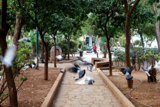 Δυο παλιές  ιστορίες των  Αμπελοκήπων  βρικολάκιασαν