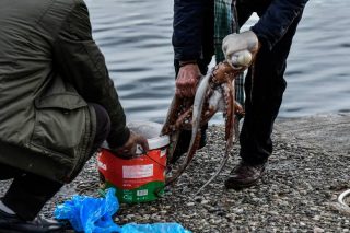 Αγνοείται ηλικιωμένος που πήγε για ψάρεμα στη Ρόδο - Έρευνες για τον εντοπισμό του