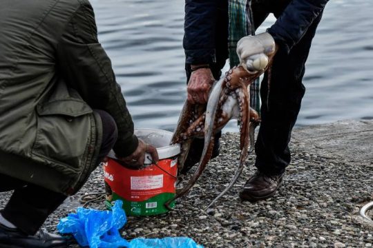 Αγνοείται ηλικιωμένος που πήγε για ψάρεμα στη Ρόδο - Έρευνες για τον εντοπισμό του