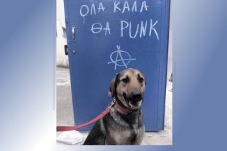 Μας χρειάζονται