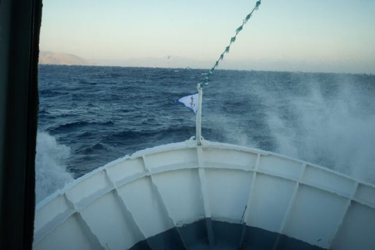 Τραγέλαφος με τον… εμβολιαστικό τουρισμό