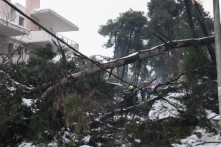 Μπορεί ν’ αλλάξει, Κεμάλ