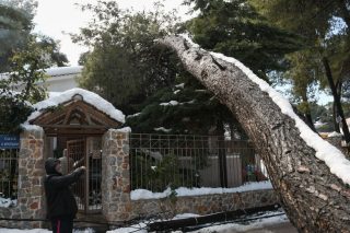 Τραγική διαπίστωση: «Γυρίσαμε πολλές δεκαετίες πίσω»