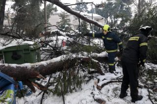 Η «Διαύγεια»… καίει την Πολιτική Προστασία