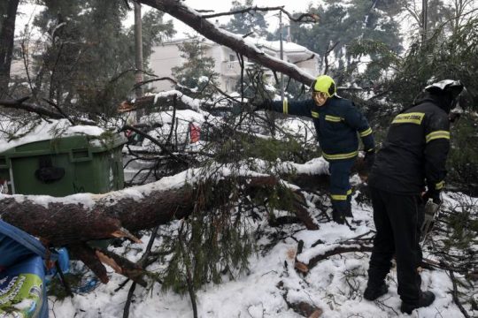 Η «Διαύγεια»… καίει την Πολιτική Προστασία