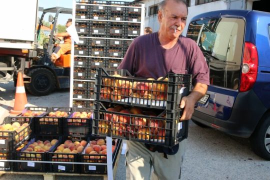 Στήριξη ζητούν οι ροδακινοπαραγωγοί