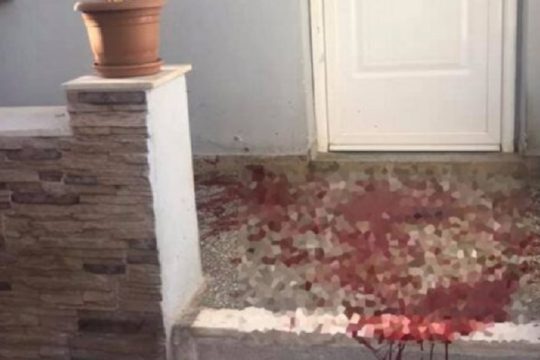 Φρίκη στην Πετρούπολη: Άγνωστος σκότωσε με τόξο σκύλο