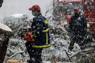 Ευθύνες στα δέντρα και στον… Χατζηπετρή