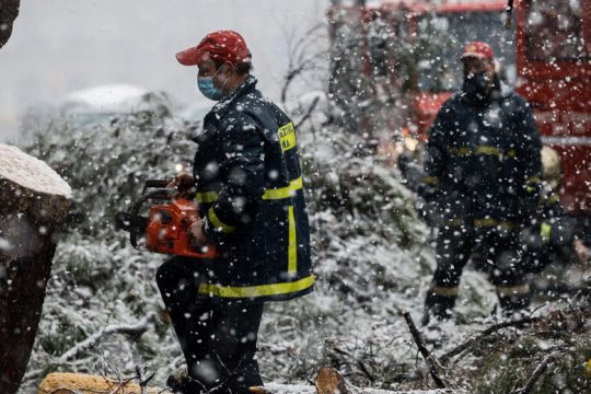 Ευθύνες στα δέντρα και στον… Χατζηπετρή