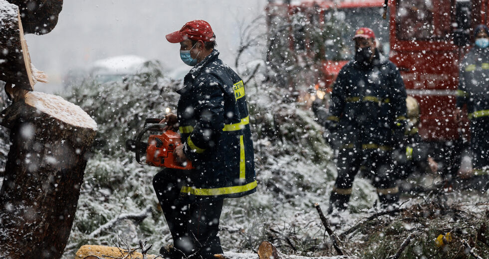 Ευθύνες στα δέντρα και στον… Χατζηπετρή