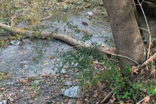 Ρέθυμνο: Νεκρός 70χρονος που καταπλακώθηκε από δέντρο