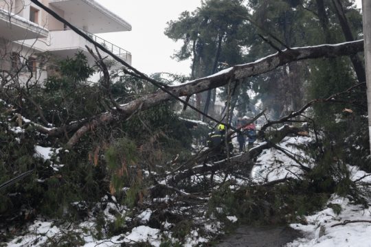 Στη Βουλή το φιάσκο με τη «Μήδεια» – μαζικά πυρά από την αντιπολίτευση