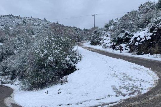 Ηράκλειο: Μισό εκατομμύριο οι ζημιές σε καλλιέργειες από τη «Μήδεια»