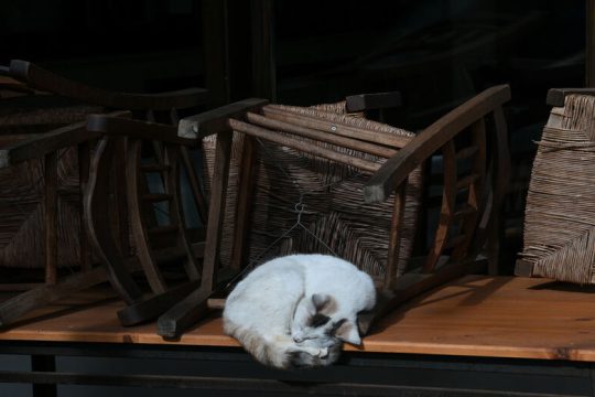 Ανέστια… η εστίαση