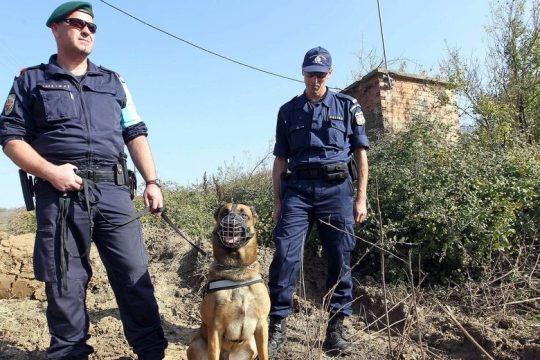 Ερευνα για παράνομες επιχειρήσεις της Frontex