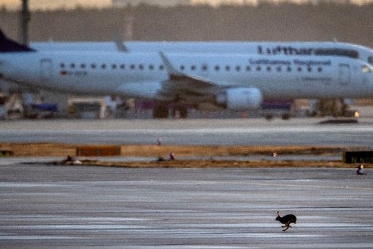 Euractiv: Οι αεροπορικές πιέζουν την Ε.Ε. να εγκρίνει το «πιστοποιητικό εμβολιασμού»