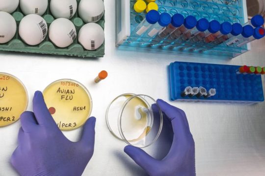 Σοβαρή η κατάσταση με τη γρίπη στη χώρα - Στη ΜΕΘ δύο παιδιά 3 και 6 ετών