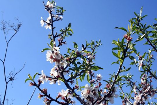 Βελτιωμένος o καιρός σε ολόκληρη τη χώρα