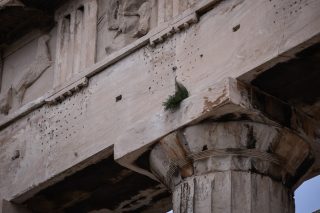 Λιτότητα, αυστηρότητα, τάξη και πειθαρχία