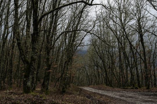 Τρίτη ημέρα ερευνών για το χαμένο αεροσκάφος στο Ζαγόρι