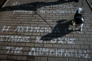 Ανάσες ελευθερίας: Μια βόλτα στο πάρκο πριν τις 18.00