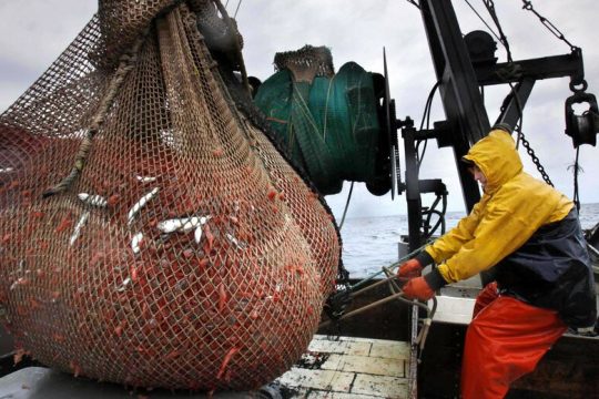 Οι κυβερνήσεις της Ε.Ε. καταστρέφουν τις ευρωπαϊκές θάλασσες