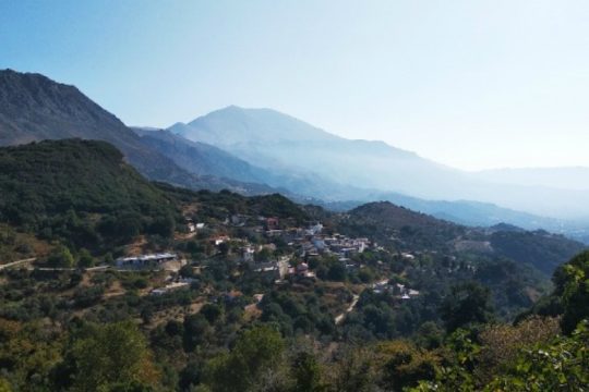 Κρήτη: Επί τάπητος οι δασικοί χάρτες – Έρχεται συνεδρίαση της ΠΕΔ