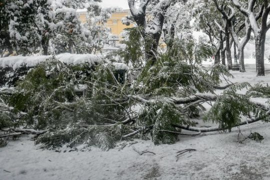 Κατάσταση έκτακτης ανάγκης στη Σκιάθο έως 1η Μαρτίου