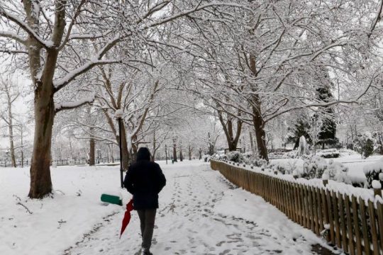 Η επέλαση της «Μήδειας» σε εικόνες