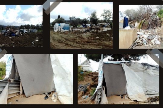 Ανθρωποι και ποντίκια στη ΒΙΑΛ