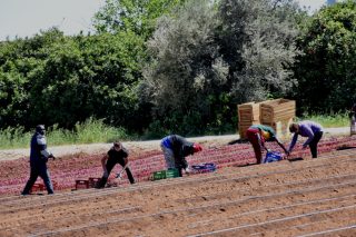Καμία αρνητική επίδραση στην οικονομία από τους μετανάστες