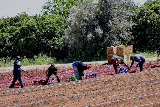 Καμία αρνητική επίδραση στην οικονομία από τους μετανάστες