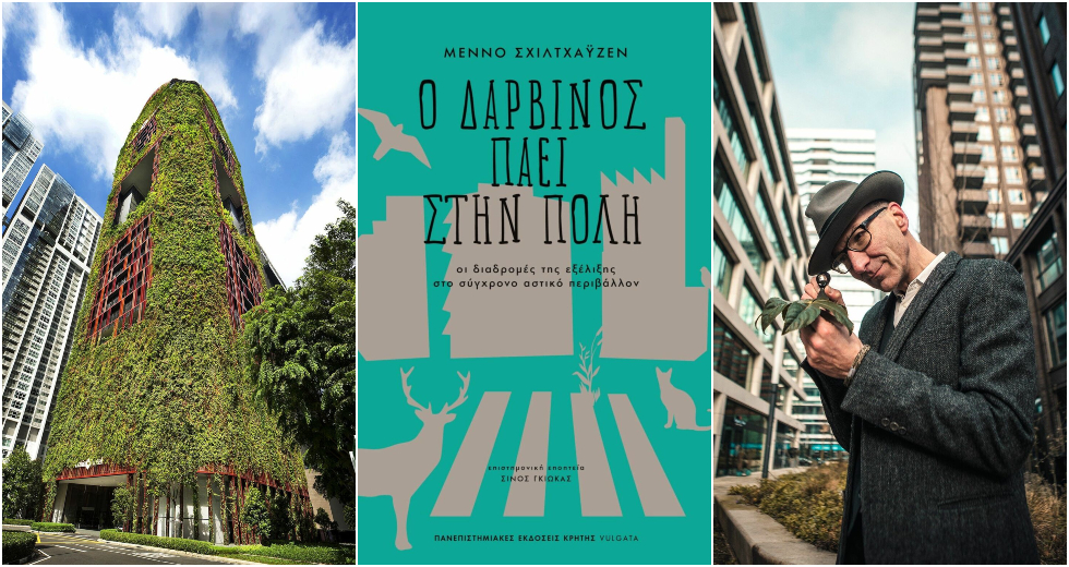 Η άγρια ζωή στις μεγαλουπόλεις