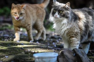 Ενας κόσμος της φρίκης