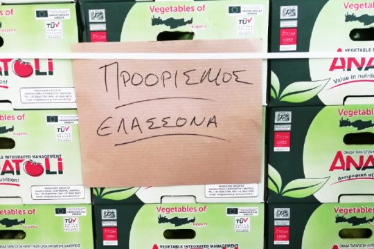 Ιεράπετρα: Πέντε τόνοι κηπευτικά για τους σεισμόπληκτους της Θεσσαλίας