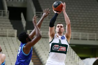 Περιμένοντας τον Νέντοβιτς
