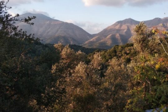 Να διορθωθούν λάθη στους δασικούς χάρτες ζητά ο αντιπεριφερειάρχης Χανίων