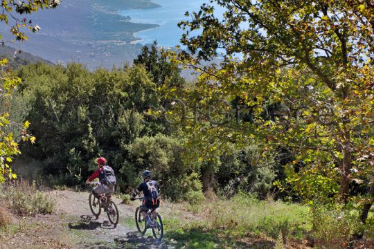 Διαδρομές με ποδήλατο για όλη την οικογένεια