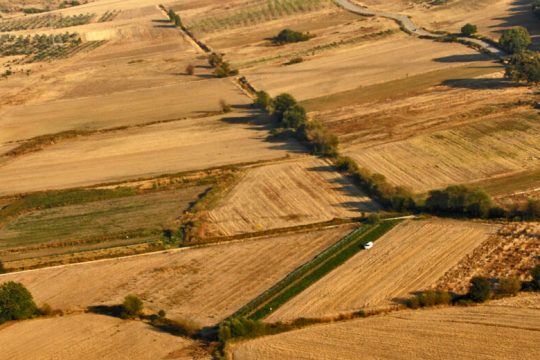 Τα φυτοφάρμακα βλάπτουν σοβαρά τη γεωργική γη