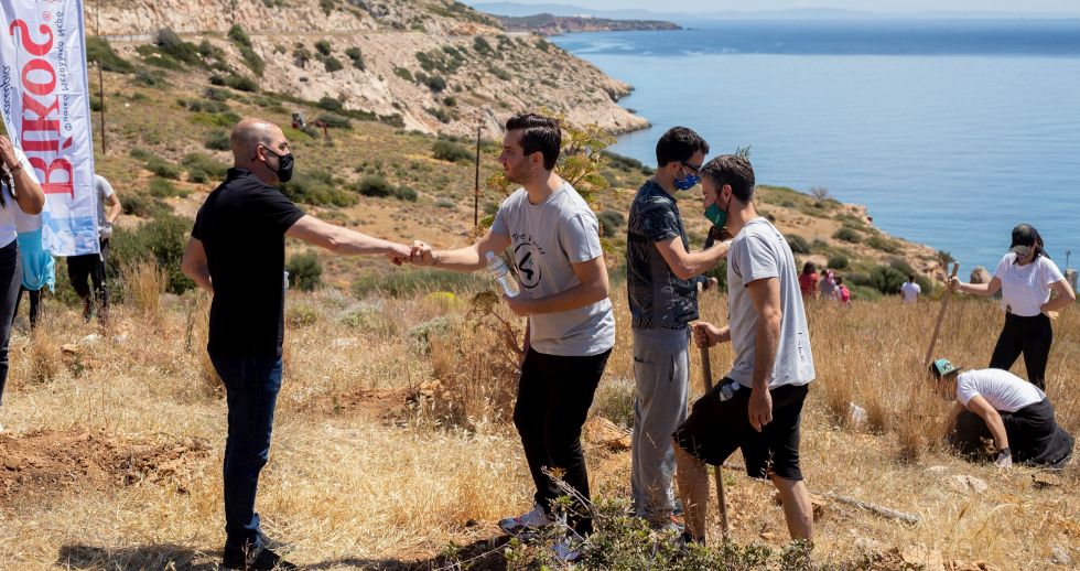 Δενδροφύτευση στην Ανάβυσσο από την Βίκος σε συνεργασία με τη We4All