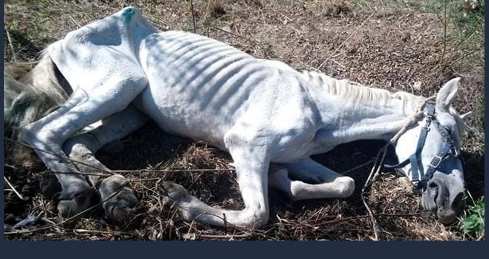 Ετσι σώθηκε η Ιόλη!