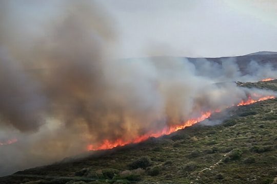 Φωτιά στην Ανδρο απείλησε οικισμούς