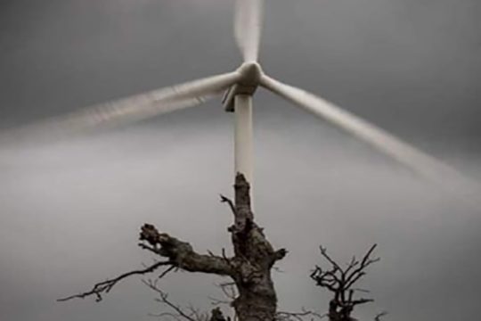 Στους δρόμους οι Κρητικοί τη Δευτέρα για τη λεηλασία μέσω των δασικών χαρτών