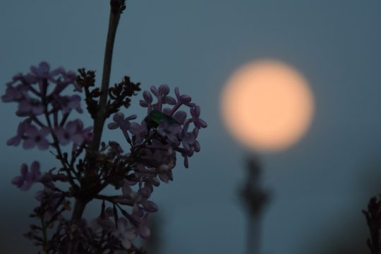 Η πιο λαμπρή πανσέληνος