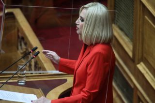 Τηλεδιάσκεψη ΟΛΜΕ με Φώφη Γεννηματά