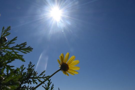 Ζεστή, ηλιόλουστη ημέρα