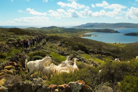 Πέντε νησιά του Αιγαίου στις 7 πιο απειλούμενες περιοχές πολιτιστικής κληρονομιάς