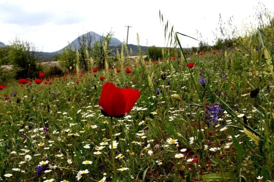 Μεγάλη Παρασκευή με αραιή συννεφιά, σκόνη και θερμοκρασία στα ύψη