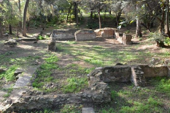 Δημιουργείται το Αρχαιολογικό Μουσείο Αθήνας