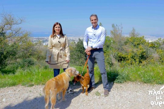 Ο ανέμελος φιλόζωος